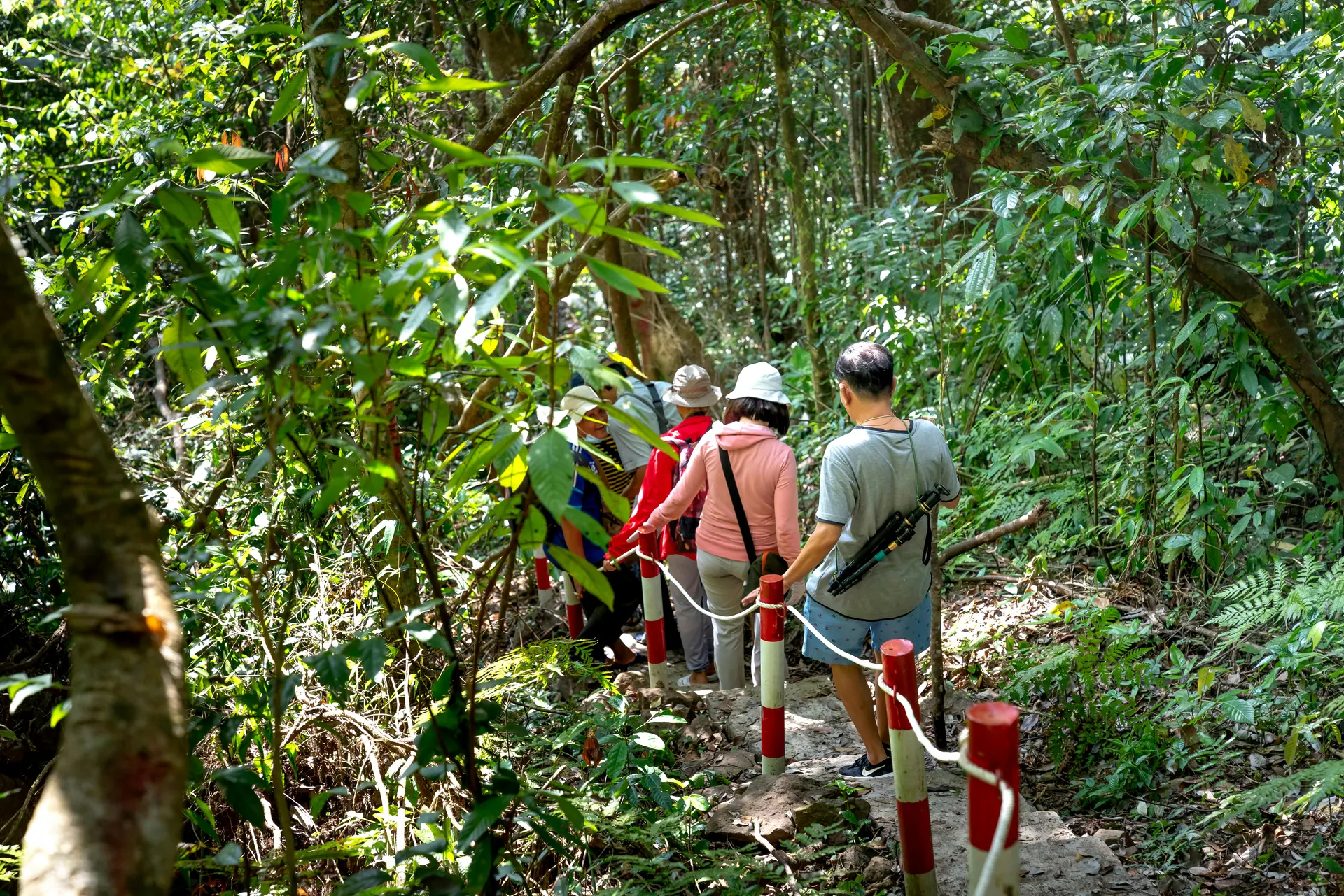 Soft expedition through Borneo rainforest for premium travellers