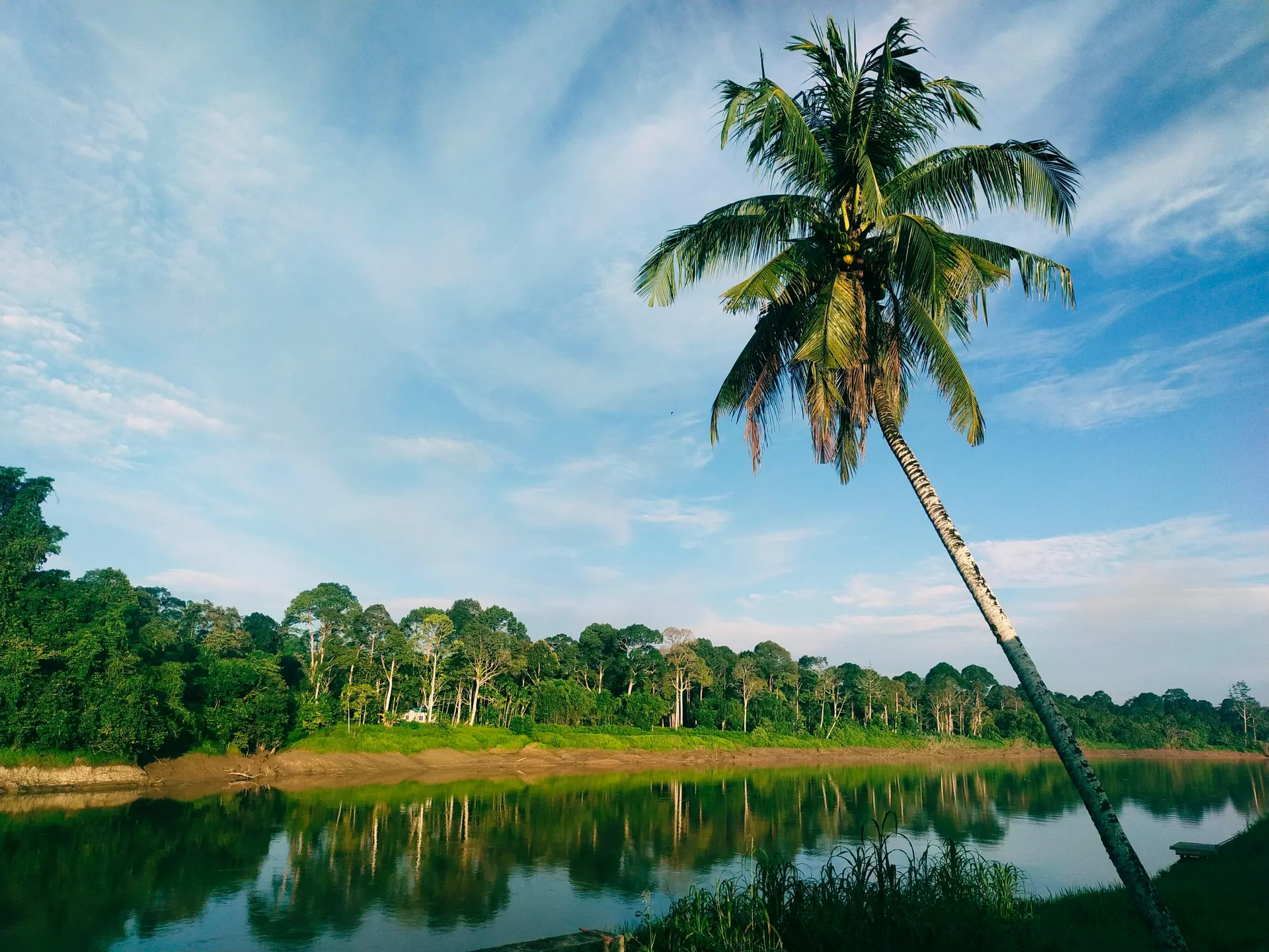 Borneo rainforest expedition route with refined travel planning