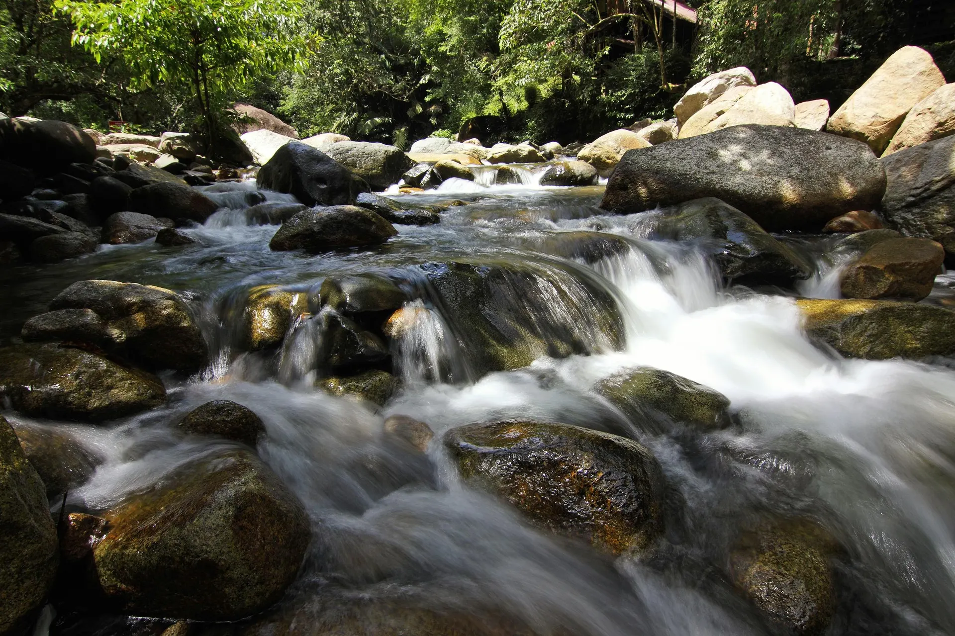 Sabah rainforest and river expedition experience