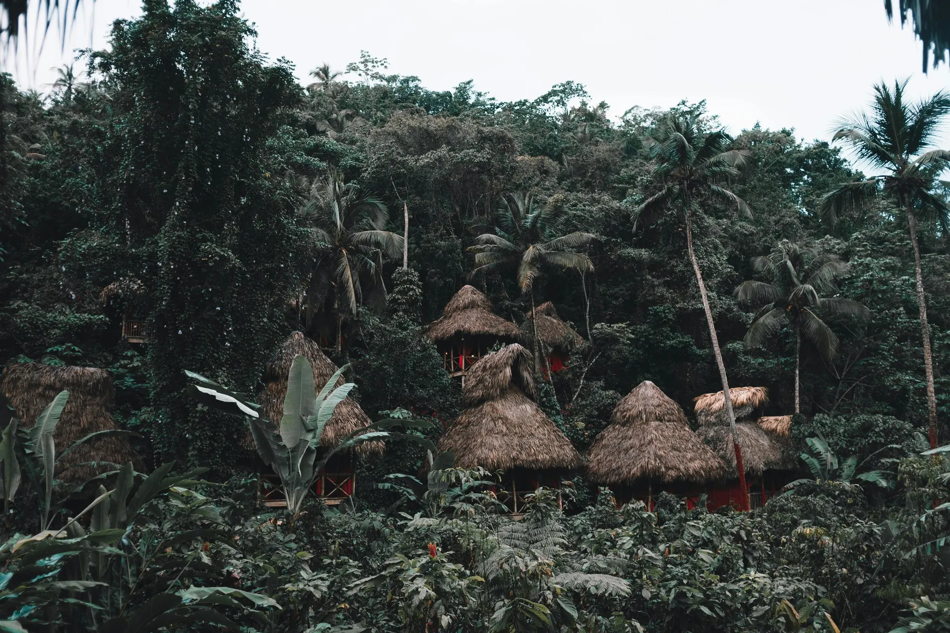 Guided rainforest expedition in Malaysian Borneo